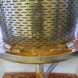 Eplepresse, hydropresse, rustfritt stl, 55 liter