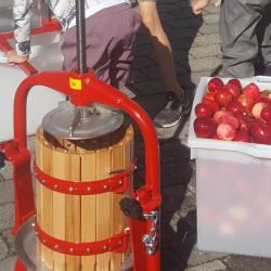 Eplepresse Med Kurv i Bketre - Kapasitet 11 liter