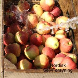 Mosteri Komplet. blepresse Bgekurv 20 l. + blekvrn 15 l.