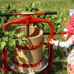 Eplepresse Med Kurv i Bketre - Kapasitet 20 liter