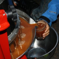 Eplepresse Med Kurv i Rustfritt Stl - Kapasitet 20 liter