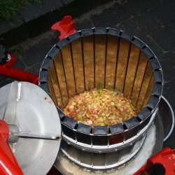 Eplepresse Med Kurv i Rustfritt Stl - Kapasitet 20 liter