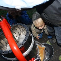 Eplepresse Med Kurv i Rustfritt Stl - Kapasitet 20 liter