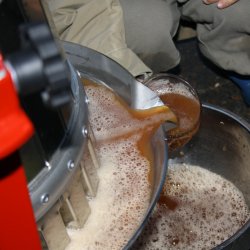 Eplepresse Med Kurv i Rustfritt Stl - Kapasitet 20 liter