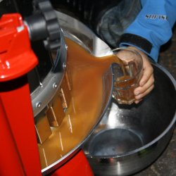 Eplepresse Med Kurv i Rustfritt Stl - Kapasitet 20 liter