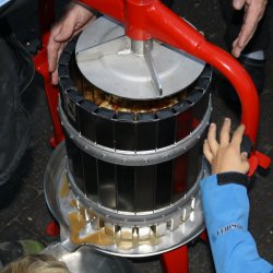 Eplepresse Med Kurv i Rustfritt Stl - Kapasitet 20 liter