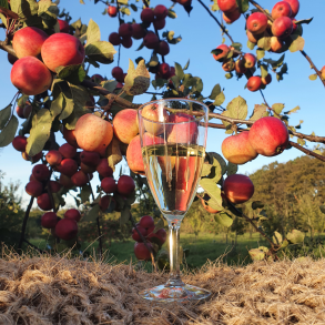 Grpakke til blevin No. #1