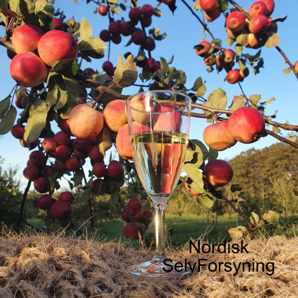 Grpakke til blevin No. #1