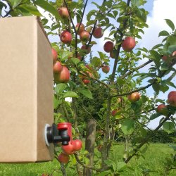 Bag-in-Box - Kasse, 20 stk.