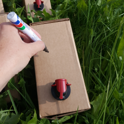 Bag-in-Box - Kasse, 20 stk.