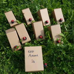 Bag-in-box, kasse, 100 stk.