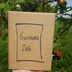 Bag-in-Box - Kasse, 20 stk.