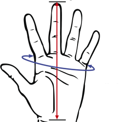 Beskyttelseshandsker til pasteurisering, rengring og bryg