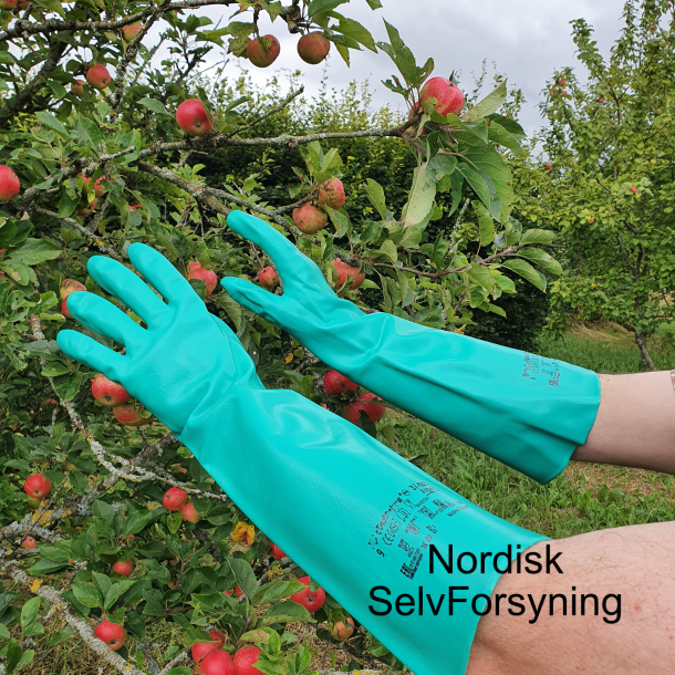 Beskyttelseshandsker til pasteurisering, rengring og bryg
