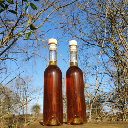 Birkesirup, 5 stk. glasflasker m. T-prop