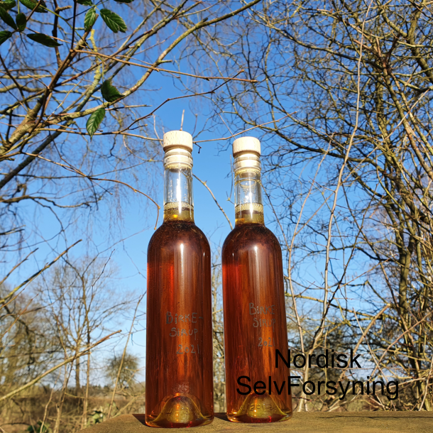 Birkesirup, 5 stk. glasflasker m. T-prop