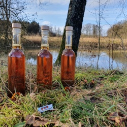 Birkesirup, 5 stk. glasflasker m. T-prop