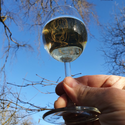 Birkevin brygst 10 l.