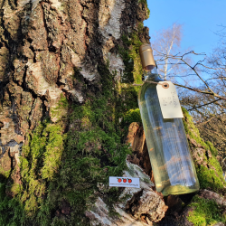 Birkevin brygst 10 l.