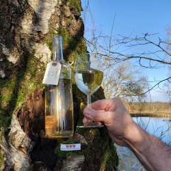 Birkevin brygst 10 l.