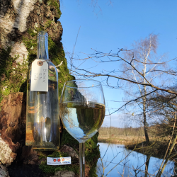 Birkevin brygst 10 l.