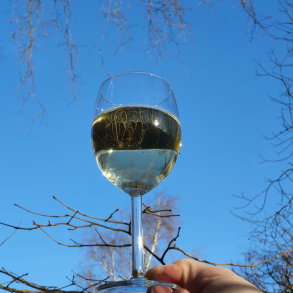 Gærpakker Komplet Birkevin + Birkechampagne