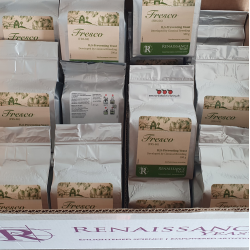 Cidergjr Renaissance - Fresco