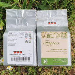 Cidergjr Renaissance - Fresco