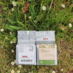 Cidergjr Renaissance - Fresco