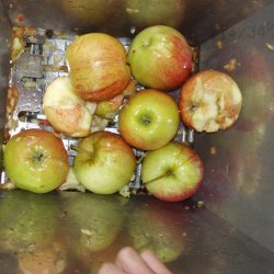 Mosteri Komplett - Eplepresse Bketr 11 l. + Eplekvern 15 l.