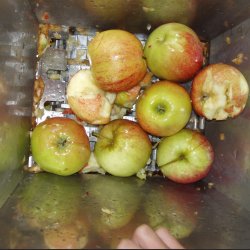 Mosteri Komplett. 10 l. Rustfri Eplepresse + 15 l. Fruktkvern