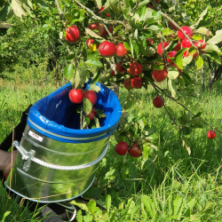 Plukketaske Med Spand 16 kg. Large