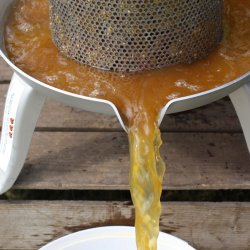 Frugtpresser rustfri, 10 liter