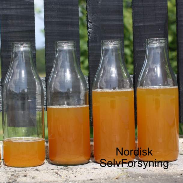 Glasflasker med lg,1 l., TO-48, 48 stk.