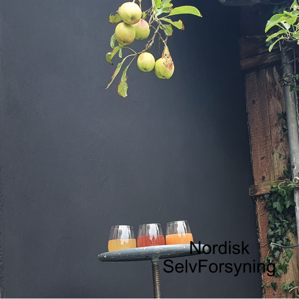 Askorbinsyre Til Eplemost, pulverform