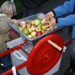 Mosteri Komplet. blepresse Rustfri 30 l. + blekvrn 15 l.