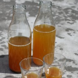 Mosteri. Hydropresser 35 l. og blekvrn Elektrisk 1000 kg/t