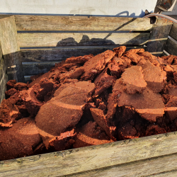 Mosteri. Hydropresse Tiltbar 250 l. + Elektrisk Frugtkvrn 1000 kg/t