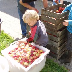 Mosteri. Hydropresse 80 l. + Elektrisk kvrn 1000 kg/t