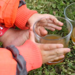 Mosteri. Hydropresser 35 l. og Elektrisk blekvrn 600 kg/t