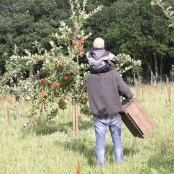 Mosteri Komplet. blepresse Rustfri 20 l. + blekvrn 15 l.