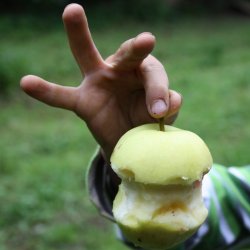 Mosteri Komplet. blepresse Rustfri 20 l. + blekvrn 15 l.