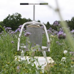 Honningpresse, 10 l. Rustfri og Tiltbar