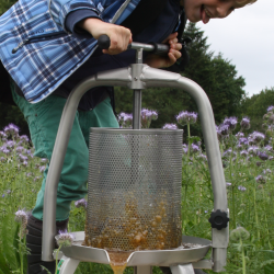 Honningpresse, 10 l. Rustfri og Tiltbar