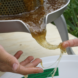 Honningpresse, 10 l. Rustfri og Tiltbar