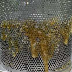 Honningpresse, 10 l. Rustfri og Tiltbar