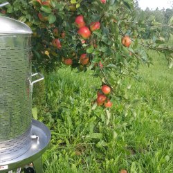 Hydropresse, rustfri, 35 l.