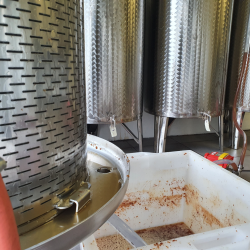 Mosteri. Hydropresse Tiltbar 250 l. + Elektrisk Frugtkvrn 1000 kg/t