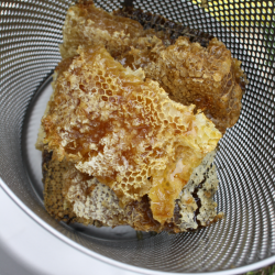 Honningpresse, 10 l. Rustfri og Tiltbar