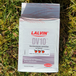 LALVIN DV10  - Gr Fra Lallemand